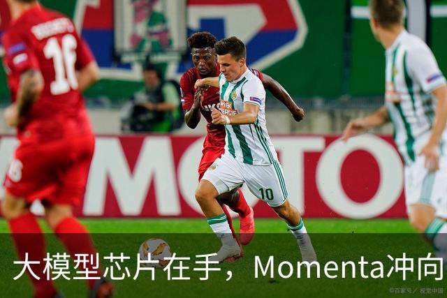 大模型芯片在手，Momenta冲向L4引爆点