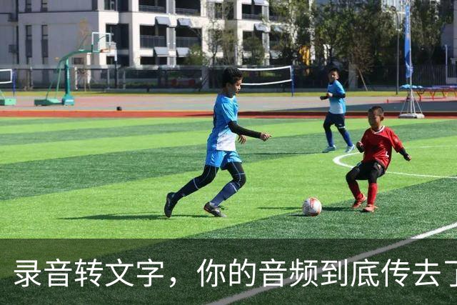 录音转文字，你的音频到底传去了哪台服务器？