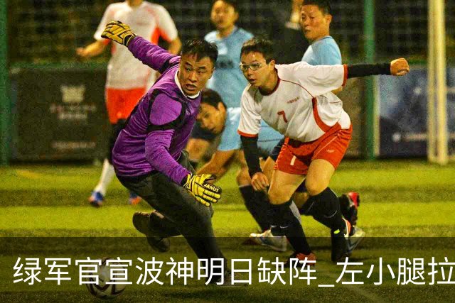 绿军官宣波神明日缺阵 左小腿拉伤或很快回归