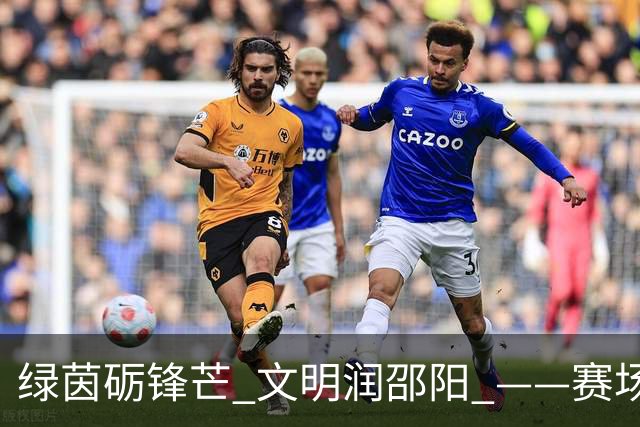 绿茵砺锋芒 文明润邵阳 ——赛场逆势突围挺进八强 文明拼搏激活城市奋进新动能