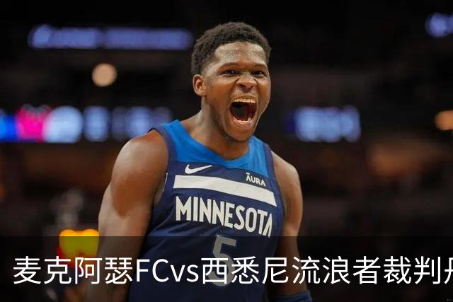 麦克阿瑟FCvs西悉尼流浪者裁判丹尼尔-埃尔德数据：近20场1红58黄6点