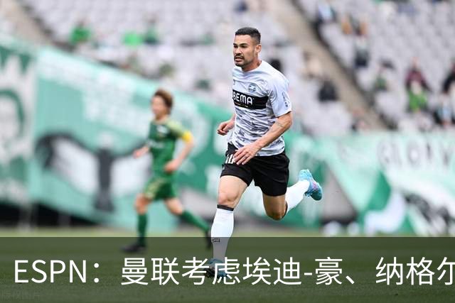 ESPN：曼联考虑埃迪-豪、纳格尔斯曼接替卡里克